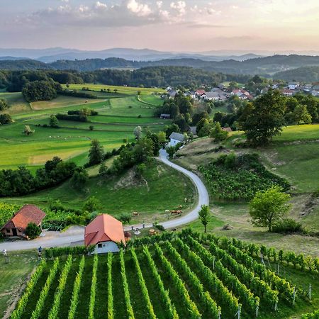 Vineyard Cottage Krivic Trebelno エクステリア 写真